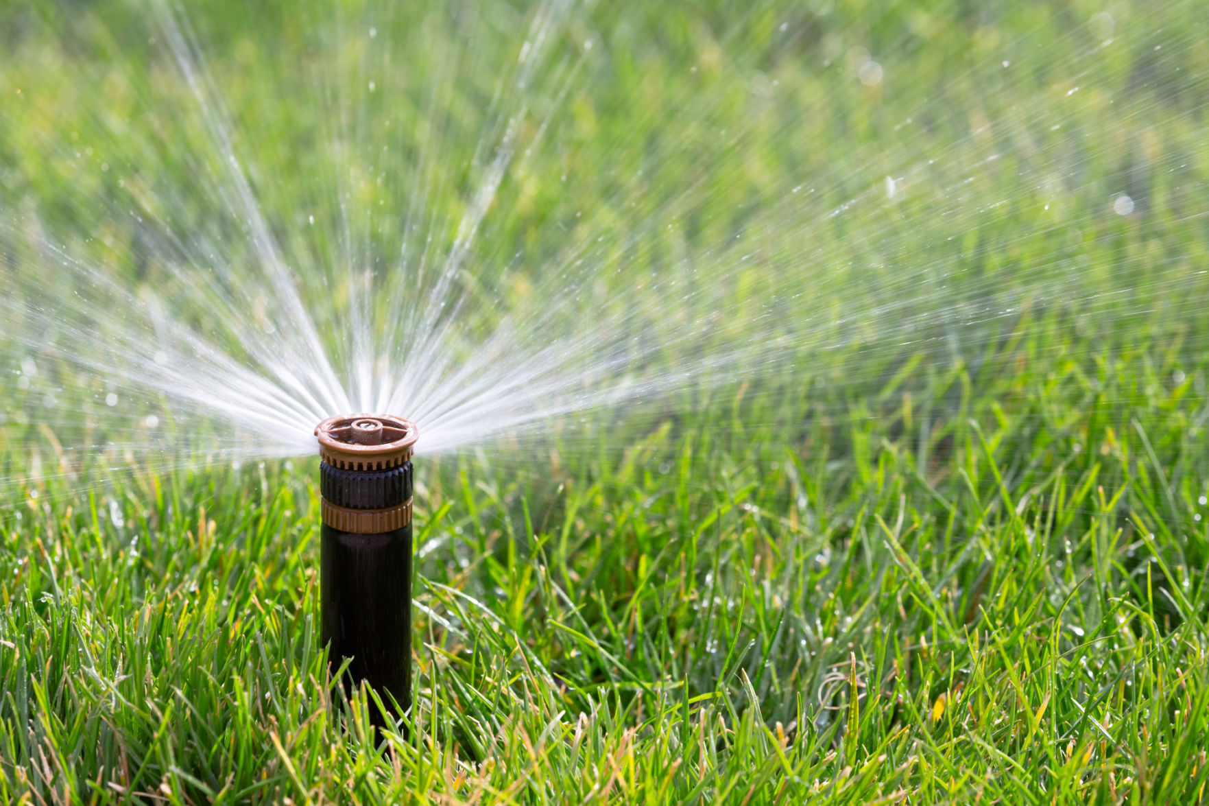 Sprinkler